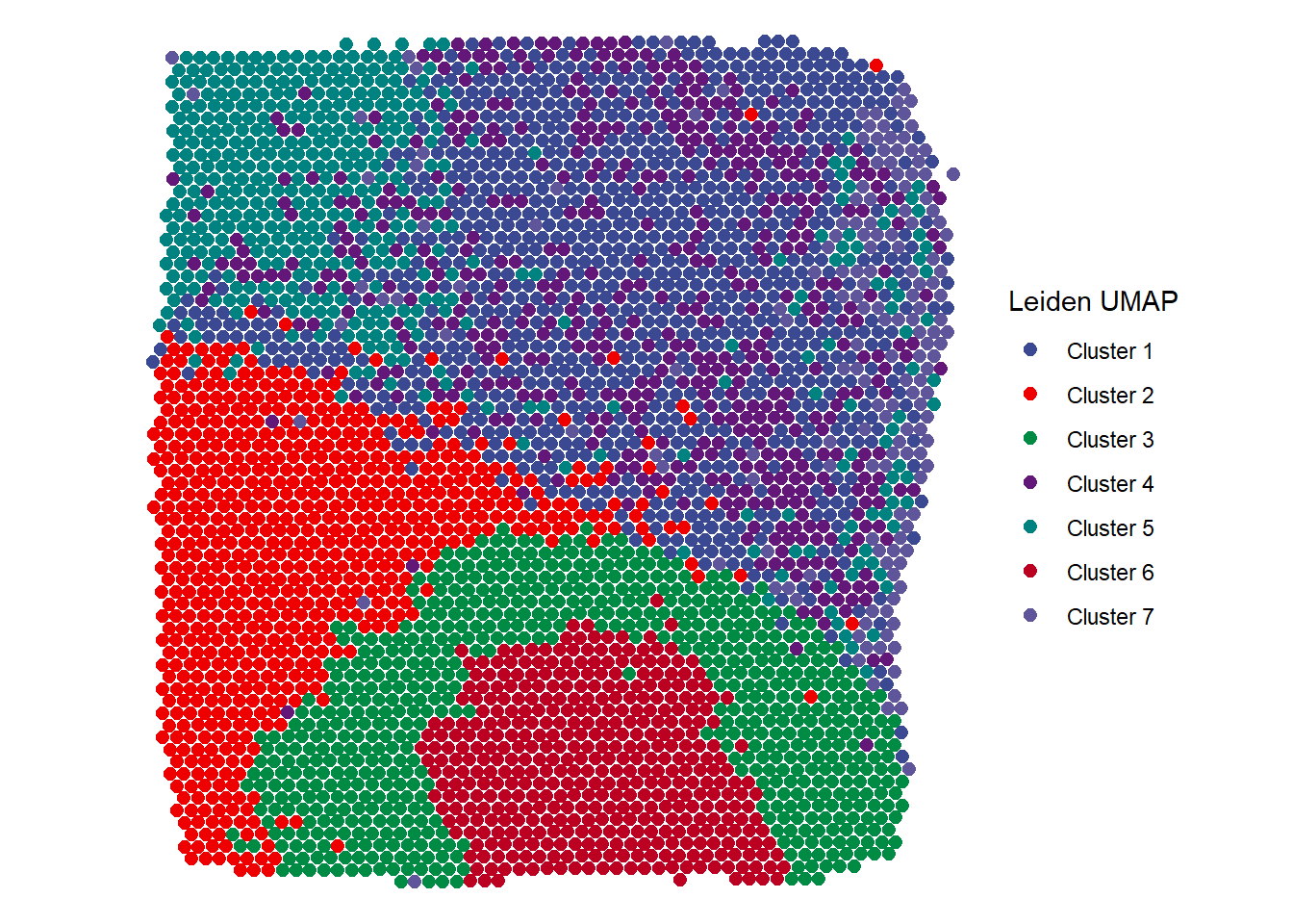 Figure 2.1 Easy visualization of different clustering results - Leiden UMAP