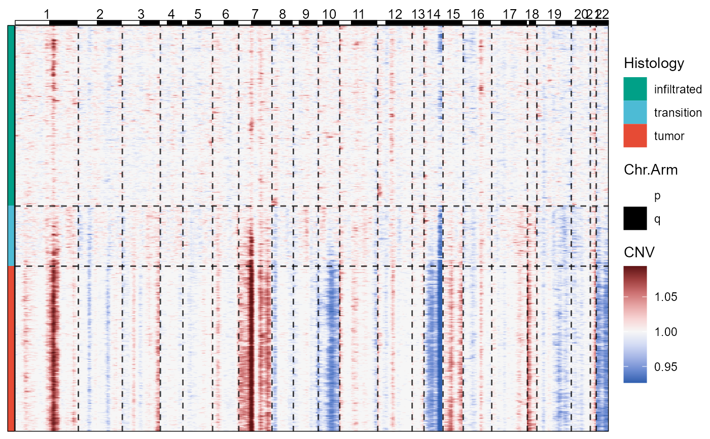 Fig.3 CNV-Heatmap with meta data displayes chromosomal alterations across histological classification.
