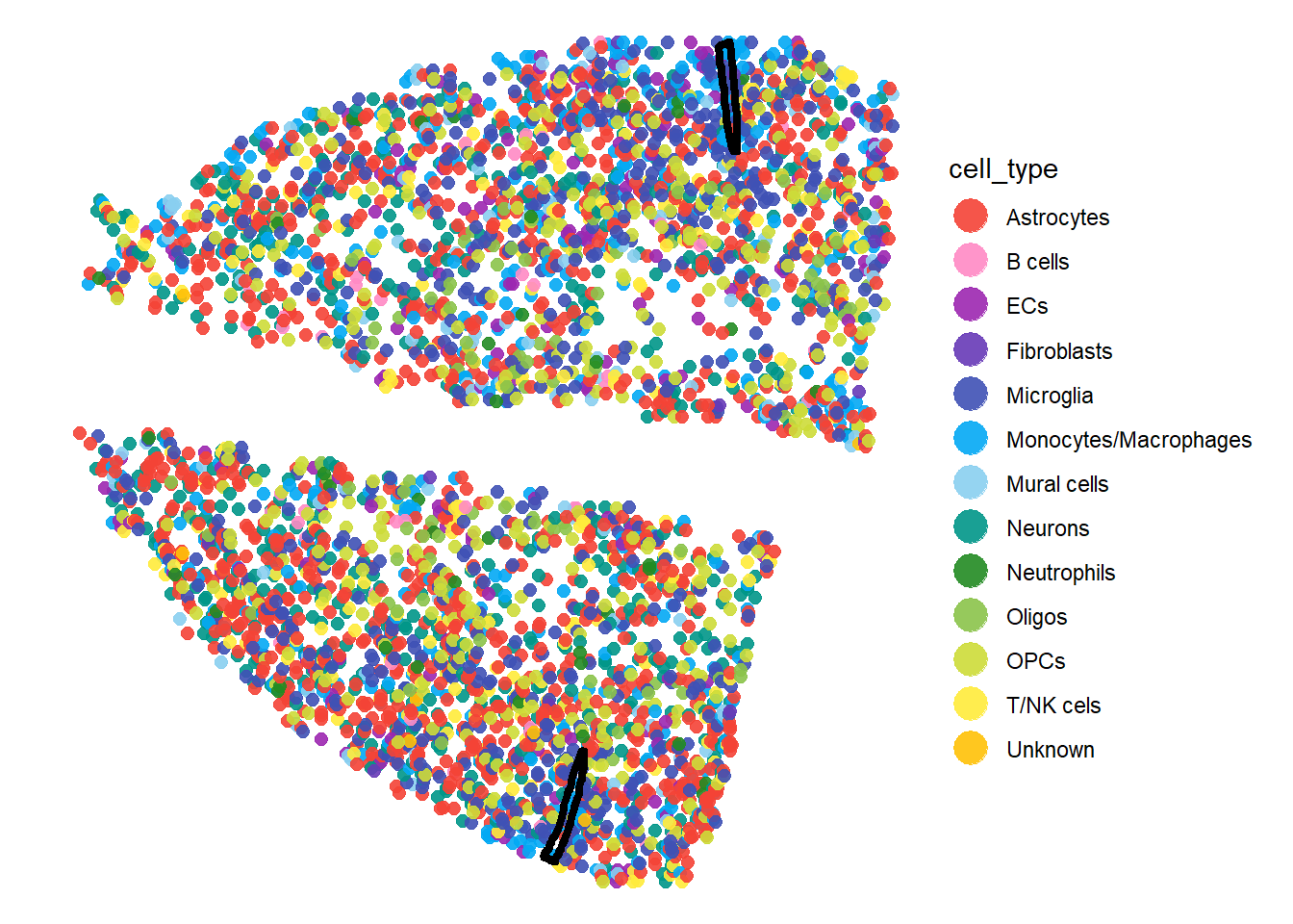 Fig.1 The injured mouse cortex sample clustered and with deconvolution single cell data.