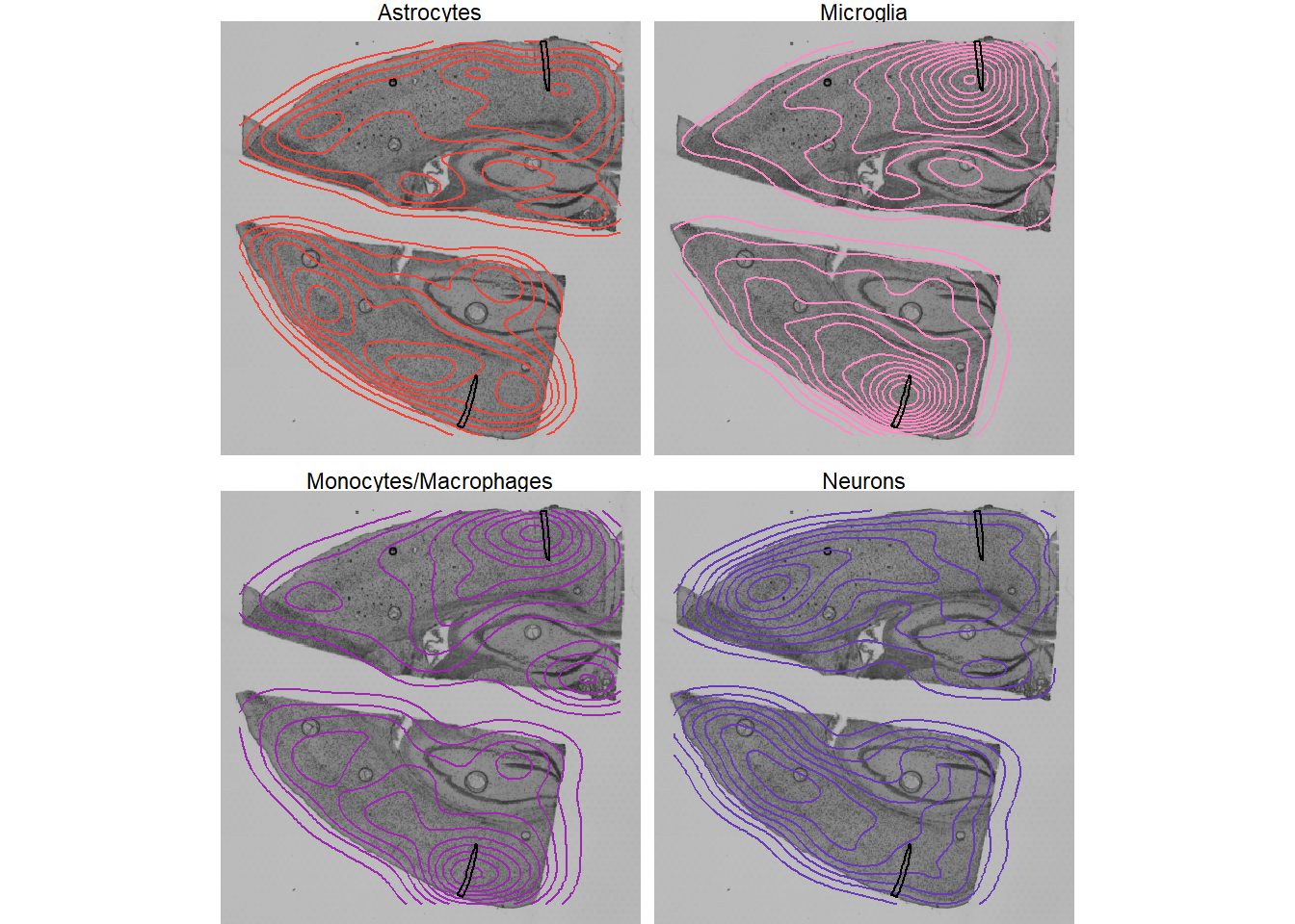 Fig.3 2D kernel density estimates of single cells on the histology.
